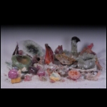 Planetary Reef 15x40x26 in.jpg